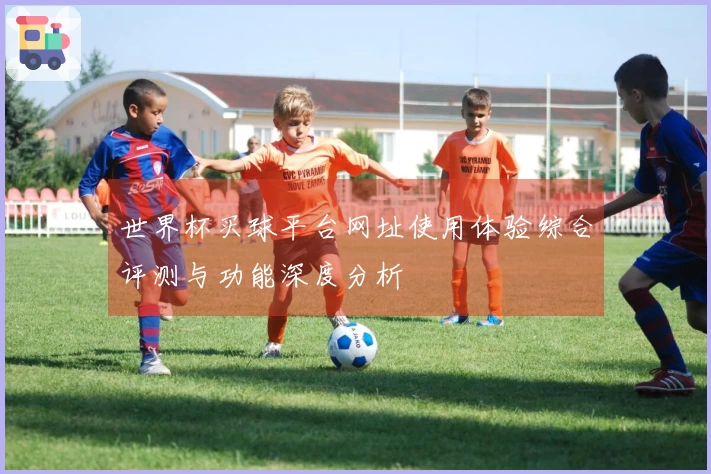 世界杯买球平台网址使用体验综合评测与功能深度分析