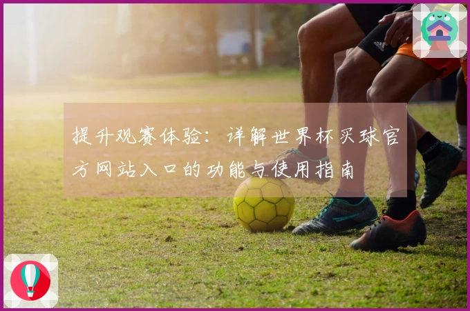 提升观赛体验：详解世界杯买球官方网站入口的功能与使用指南