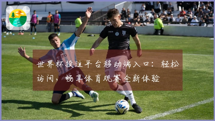 世界杯投注平台移动端入口:轻松访问,畅享体育观赛全新体验