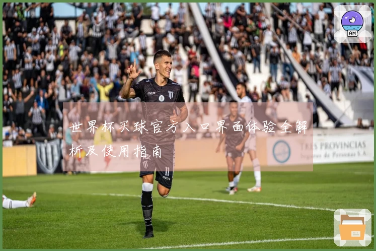 世界杯买球官方入口界面体验全解析及使用指南