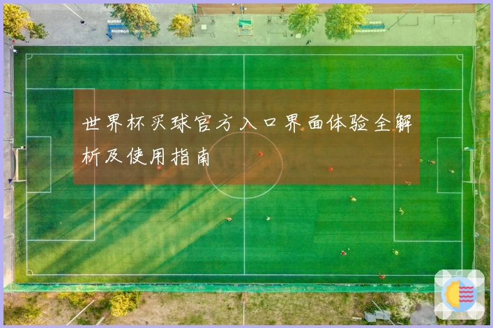 世界杯买球官方入口界面体验全解析及使用指南