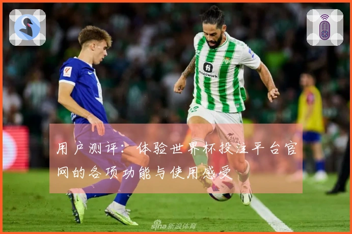 用户测评：体验世界杯投注平台官网的各项功能与使用感受