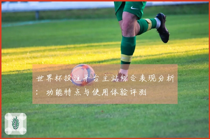 世界杯投注平台主站综合表现分析：功能特点与使用体验评测