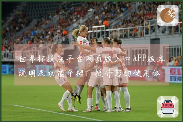 世界杯投注平台网页版入口APP版本说明及功能介绍,提升您的使用体验