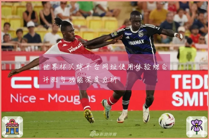 世界杯买球平台网址使用体验综合评测与功能深度分析