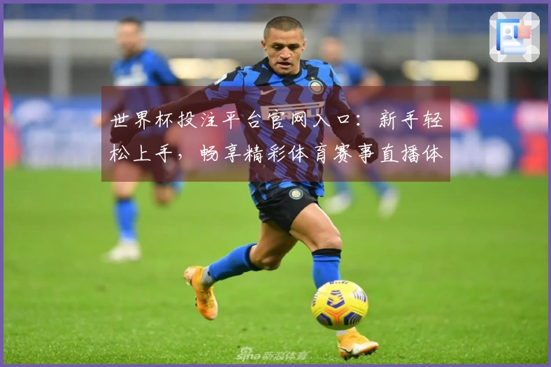 世界杯投注平台官网入口：新手轻松上手，畅享精彩体育赛事直播体验