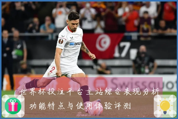 世界杯投注平台主站综合表现分析：功能特点与使用体验评测