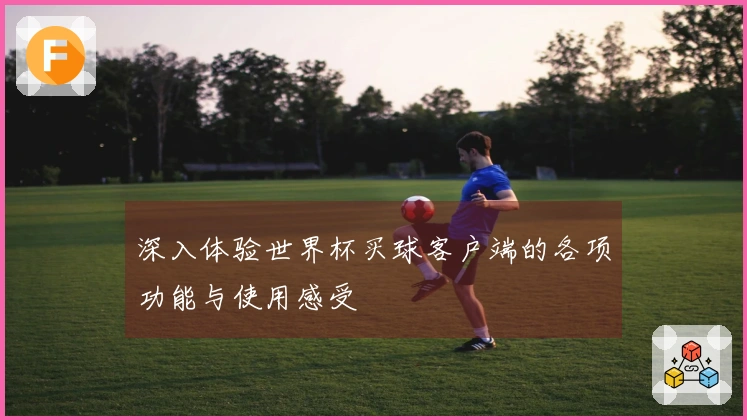 深入体验世界杯买球客户端的各项功能与使用感受